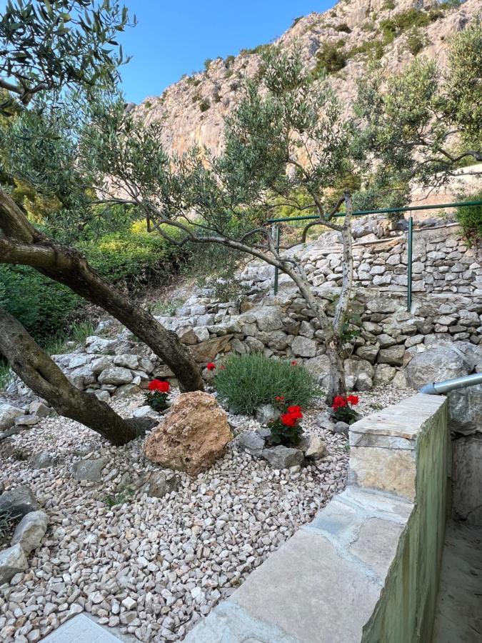 Villa Pelargonia Makarska Kültér fotó