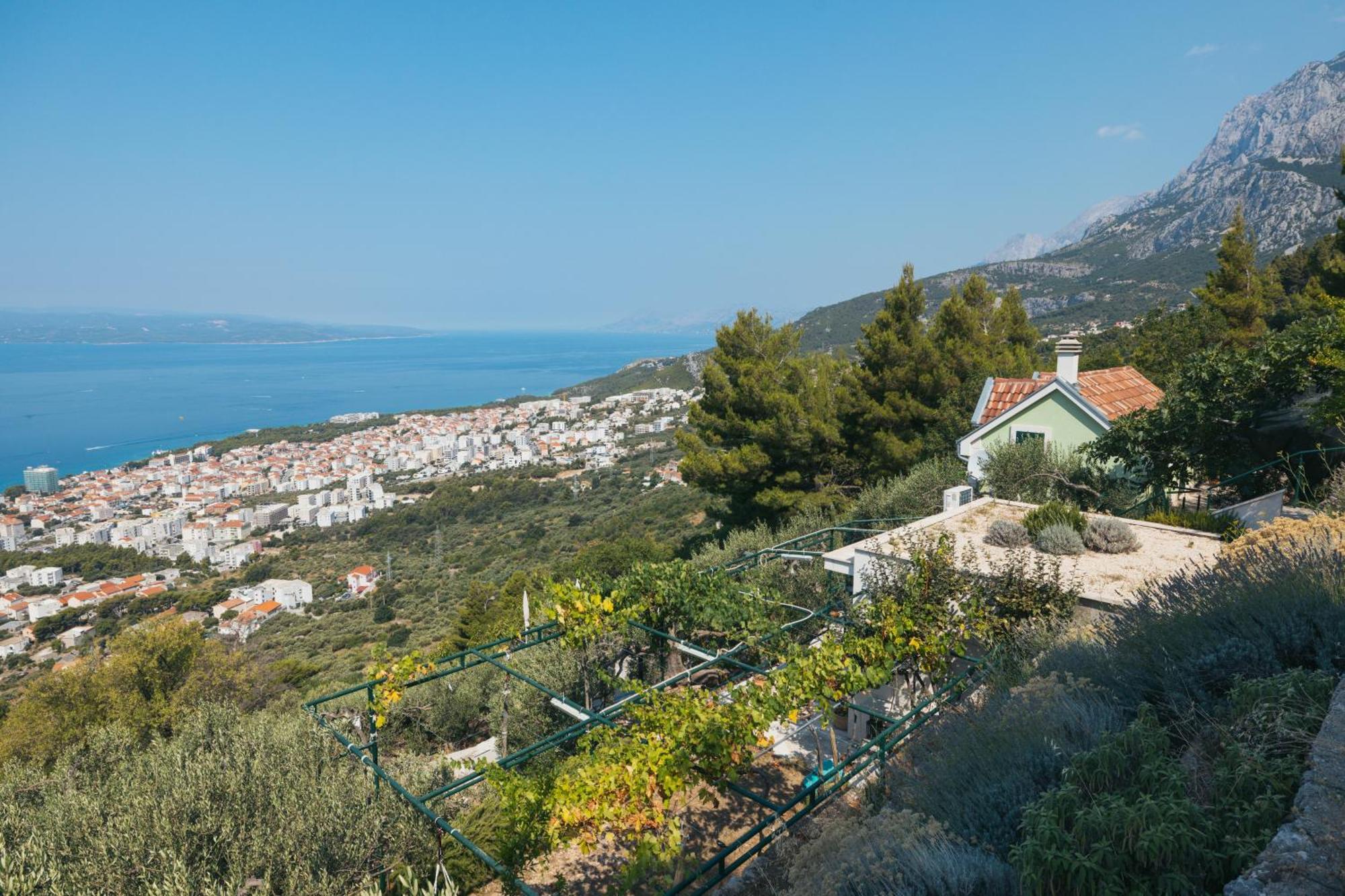Villa Pelargonia Makarska Kültér fotó